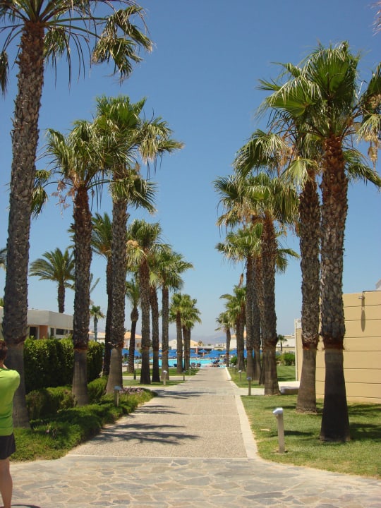 Anlage Neptune Luxury Resort