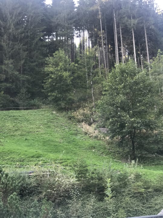 Ausblick Feriendorf Holzleb'n