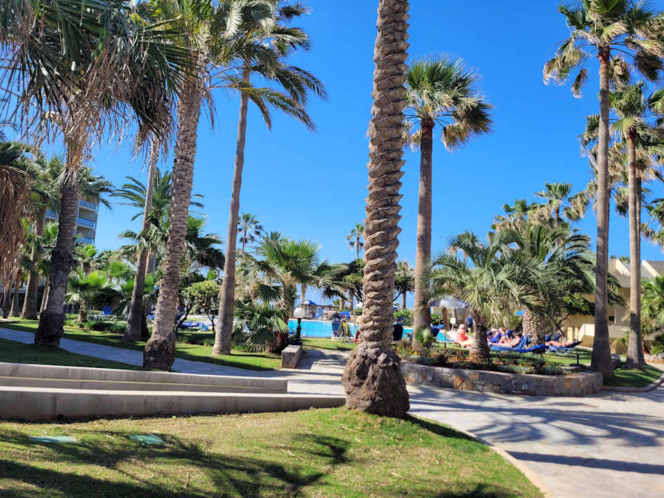 Pool Calimera Sirens Beach