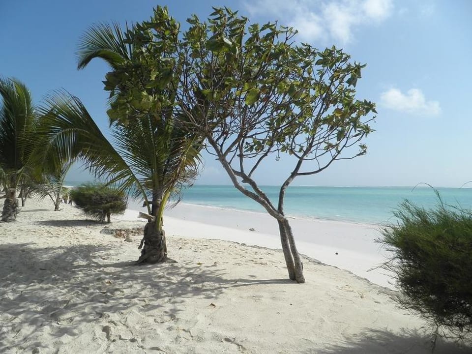 Sansibar Neptune Pwani Beach Resort & Spa
