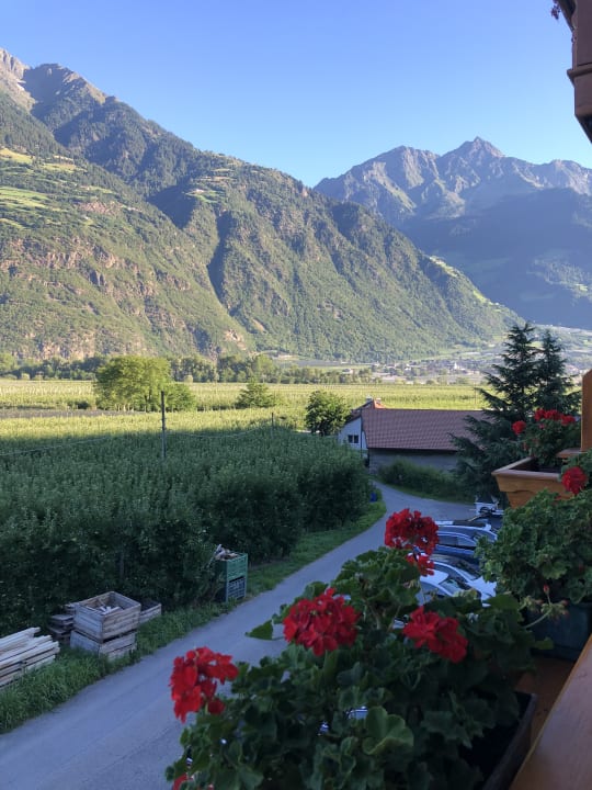 Zimmer Hotel Meringerhof