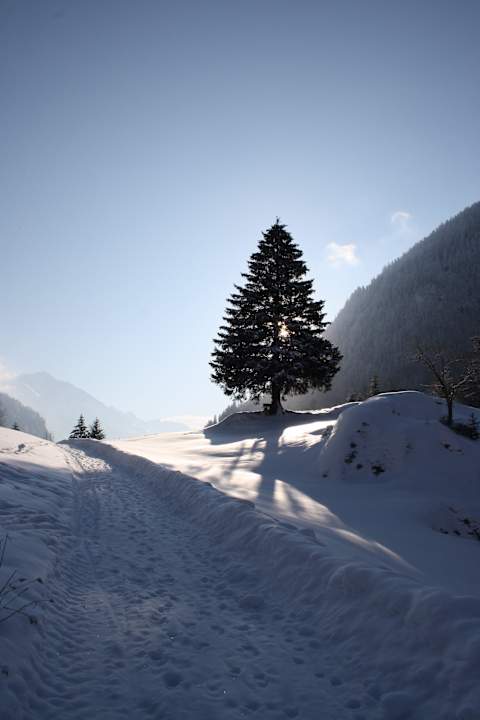 Ausblick auf den Schönbühel Gasthaus Pension Schön
