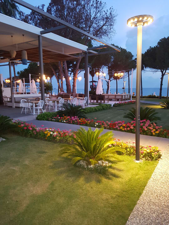 Restaurant Acanthus Cennet Barut Collection