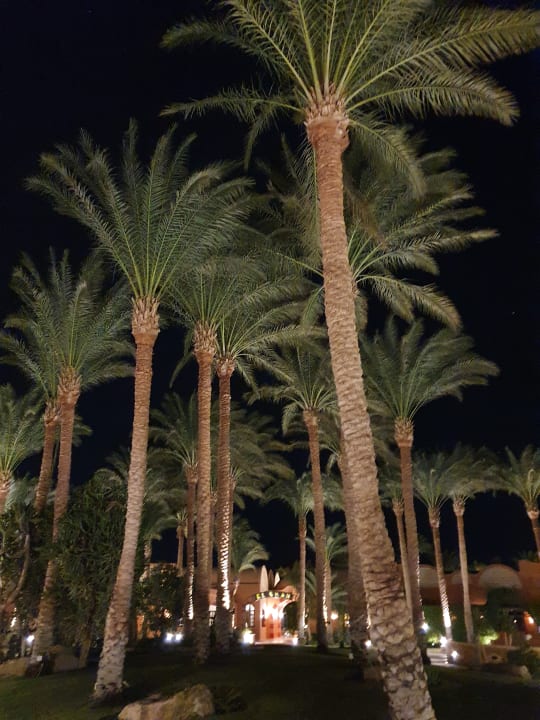 Gartenanlage Jaz Makadi Oasis Resort