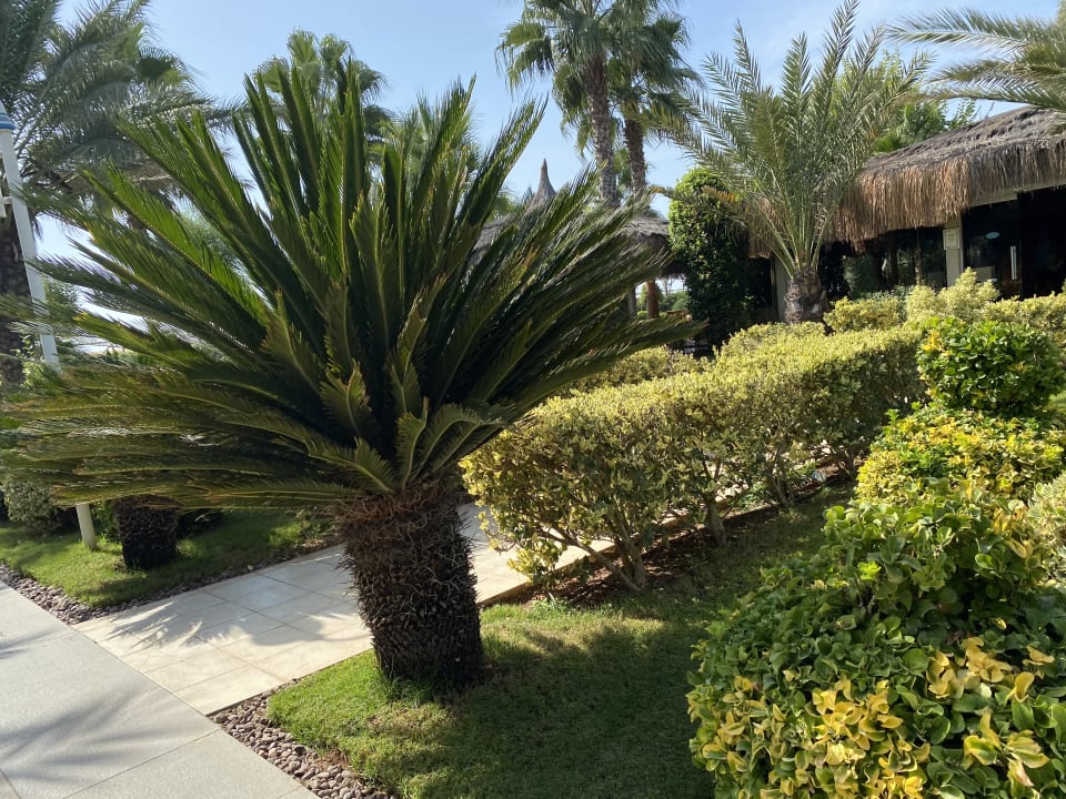 Gartenanlage Royal Holiday Palace