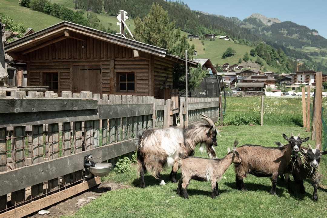 Sonstiges Hotel Auhof