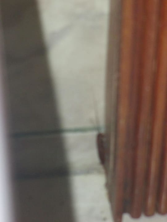 Hotel Sun Island Resort & Spa Villa Park Sun Island