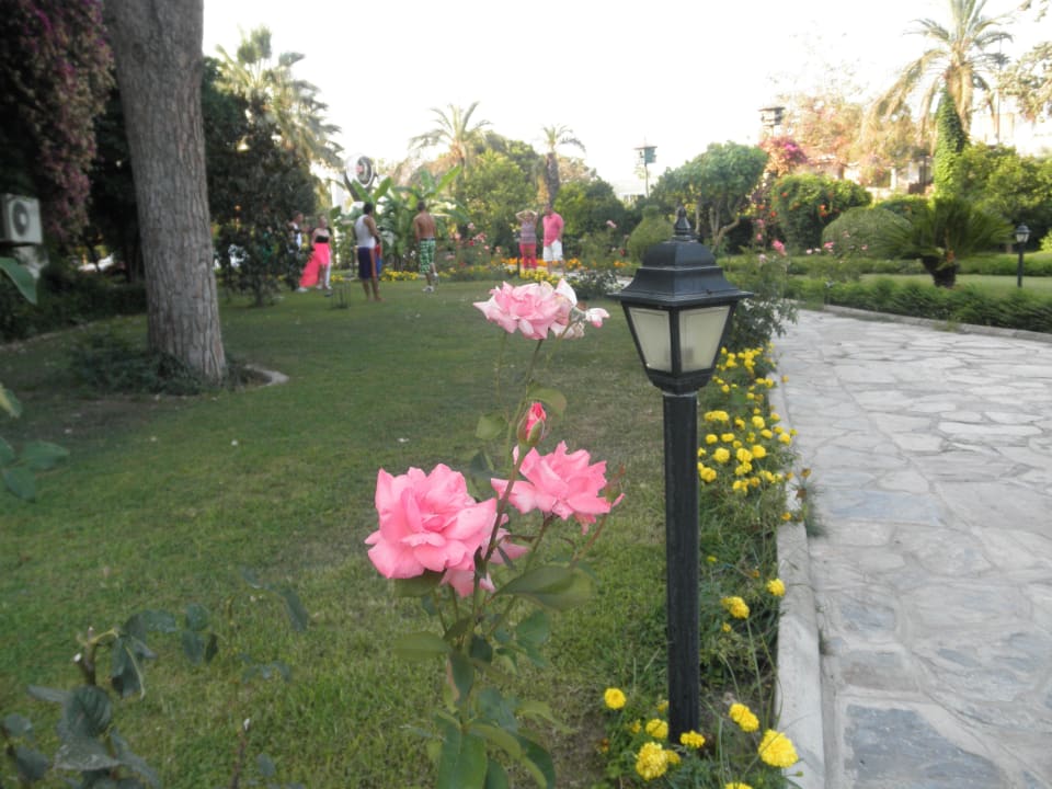 Garten Bieno Club Venüs Hotel &Spa