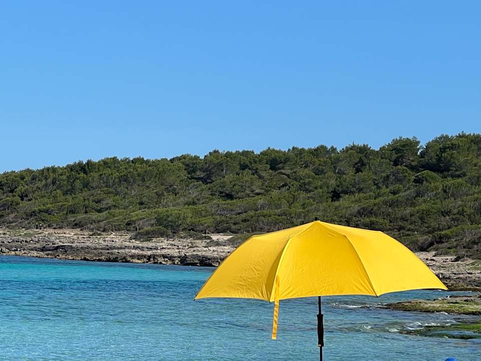 Ausblick Hipotels Hipocampo Playa