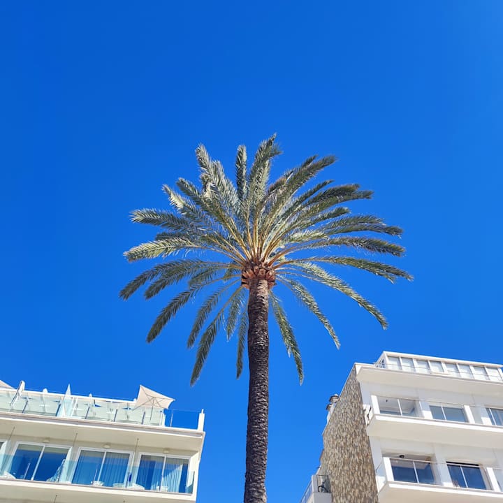 Außenansicht BQ Aguamarina Boutique Hotel