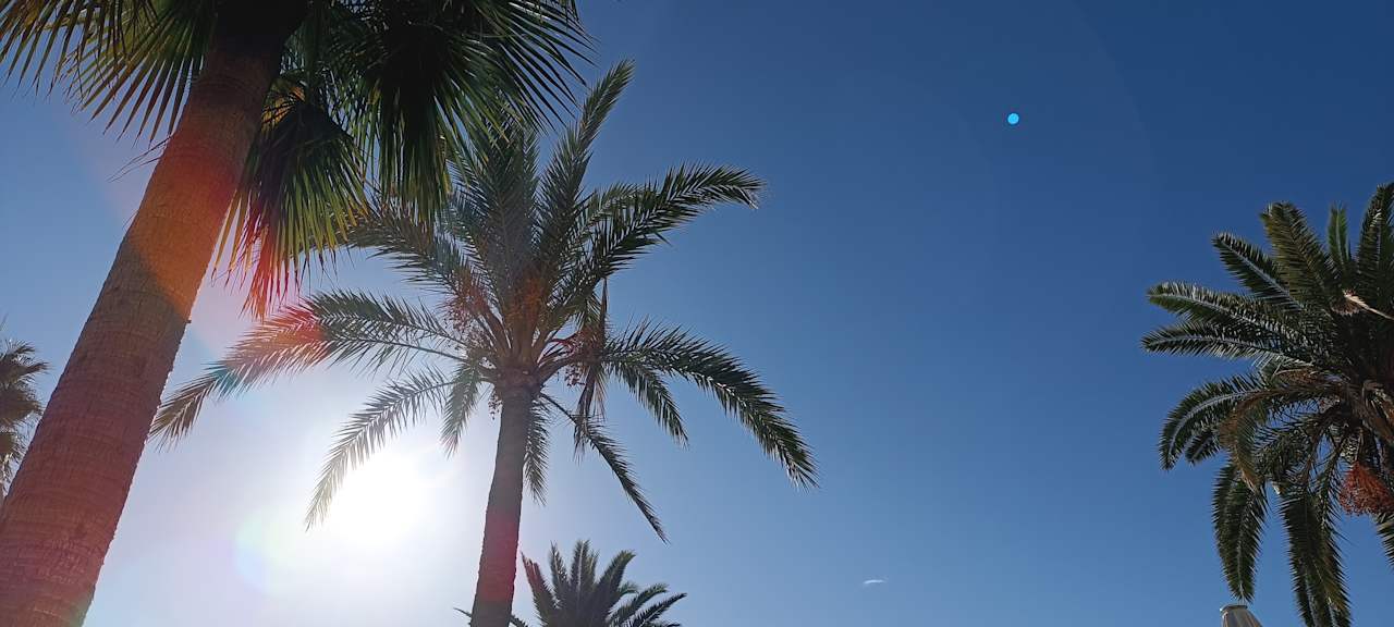 Sonstiges allsun Hotel Bahia del Este