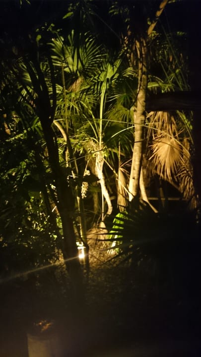 Nachts im "Dschungel" Catalonia Playa Maroma