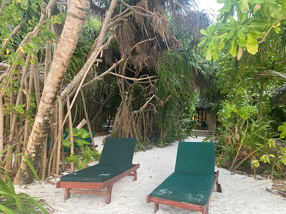 Zimmer Coco Palm Dhuni Kolhu