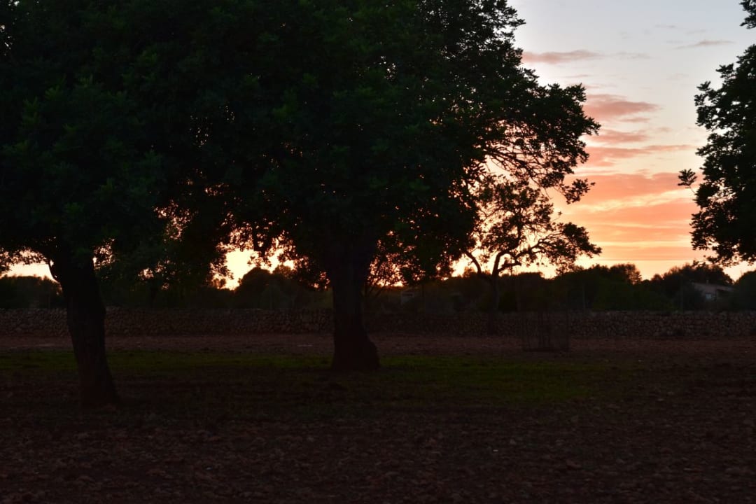 Außenansicht Finca Son Guardiola