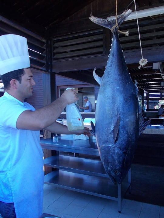 Heute gibt es Thunfisch am Strand Sunis Evren Beach Resort Hotel & Spa