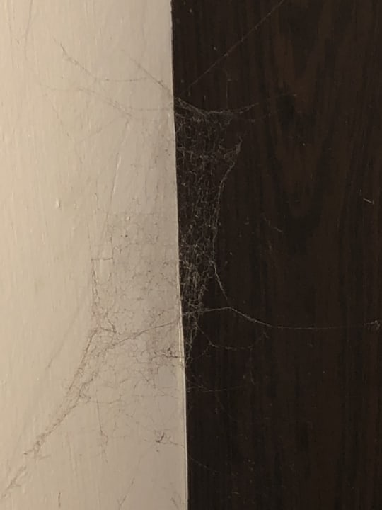 Zimmer Hotel Orfeus Park