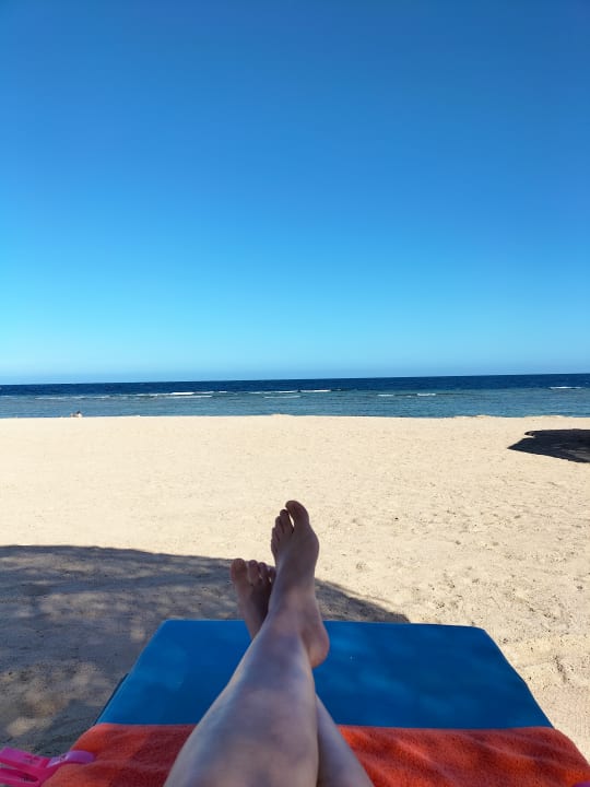 Strand Pickalbatros Palace Hotel-Port Ghalib
