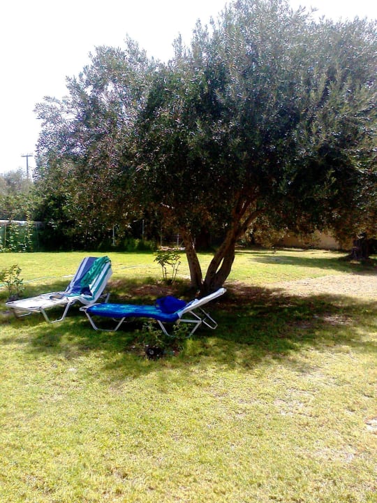 W cieniu drzew oliwkowych Marianna Palace Hotel