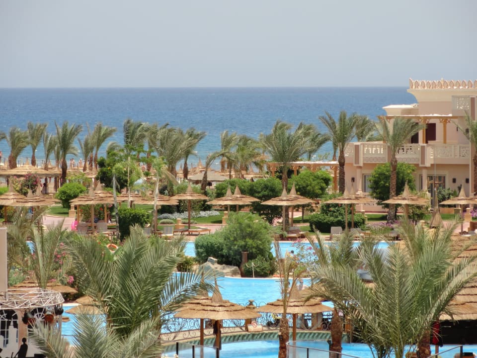Вид с балкона на территорию отеля Pickalbatros Palace Resort