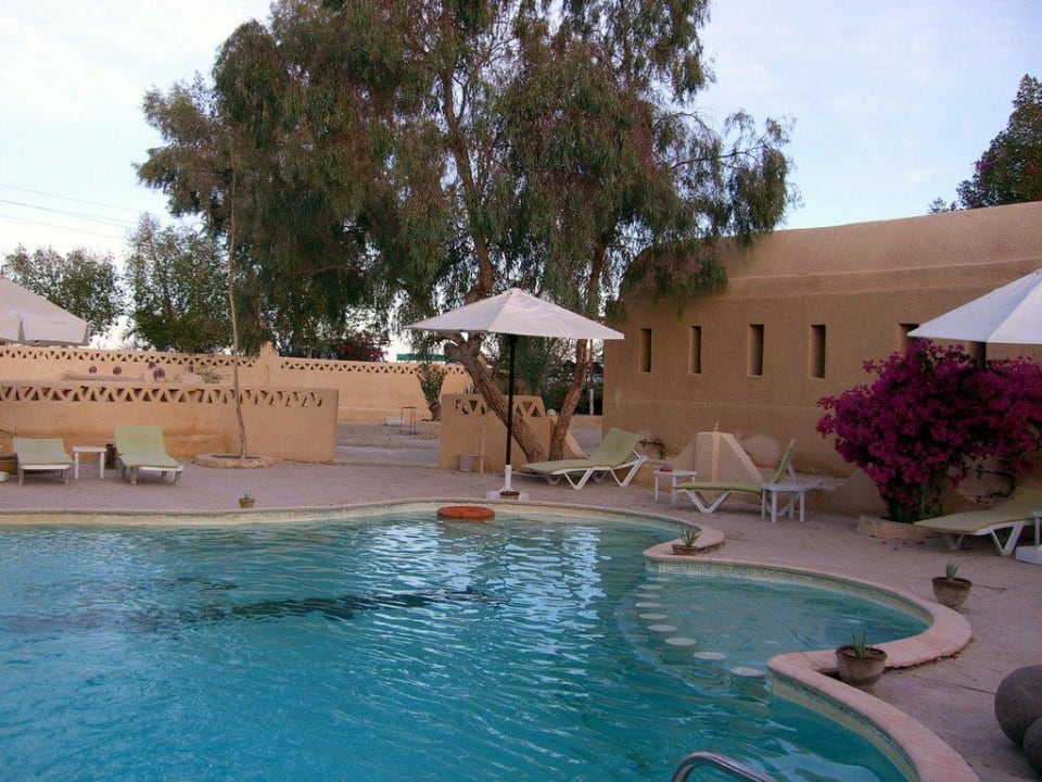 Pool Hotel Badawiya Farafra