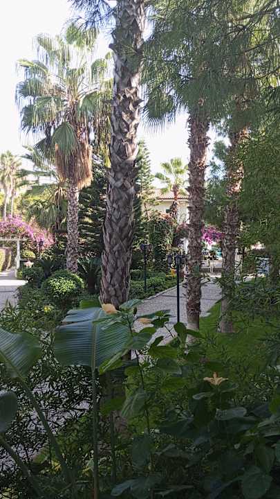 Gartenanlage Paloma Oceana