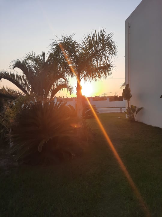 Gartenanlage Hotel Gaia Palace