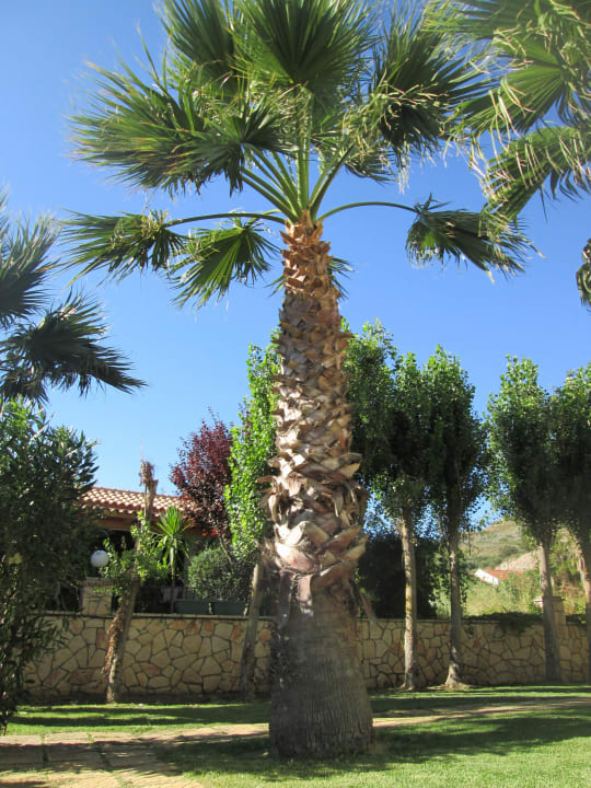 Hotel SuneoClub Cavo D'Oro Hotel