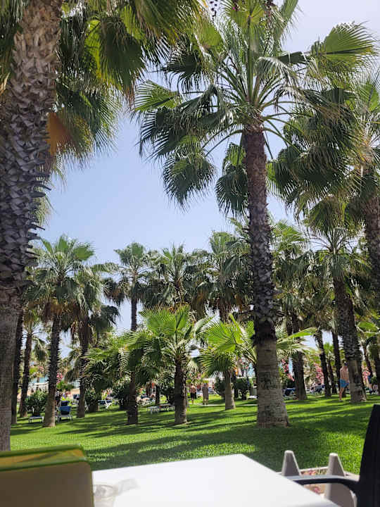 Strand Hotel Süral Resort