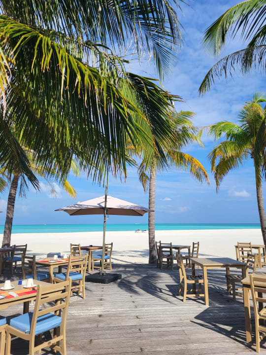 Gastro Meeru Maldives Resort Island