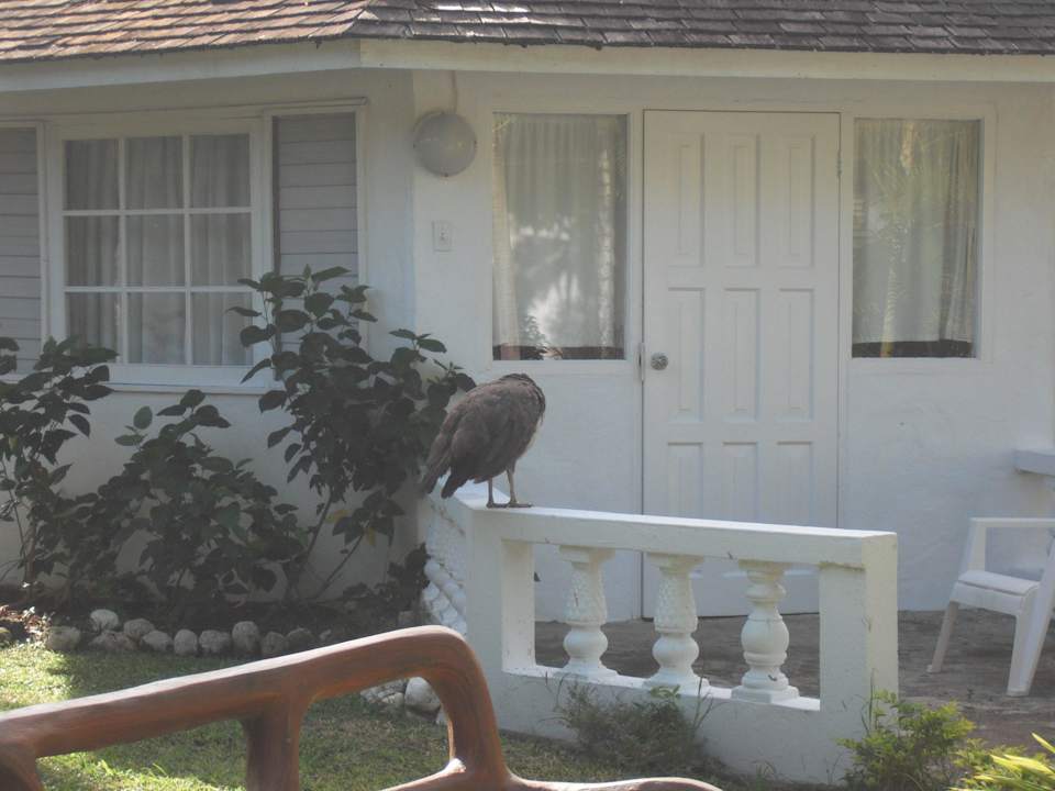 Bungalow Grand Muthu Club Caribbean Runaway Bay