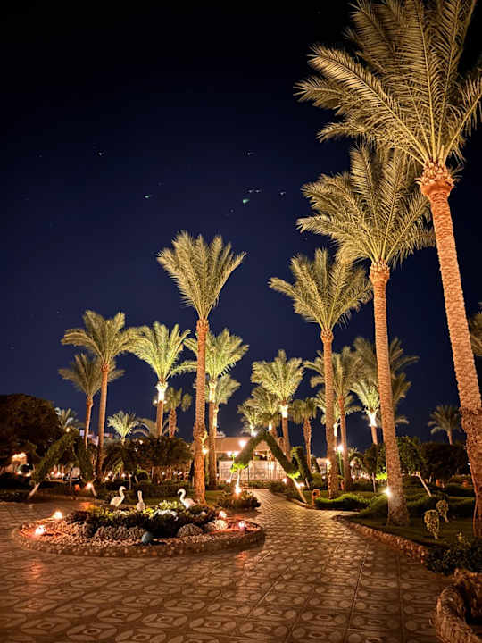 Gartenanlage Sentido Akassia Beach