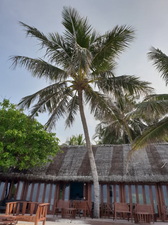 Sonstiges Summer Island Maldives