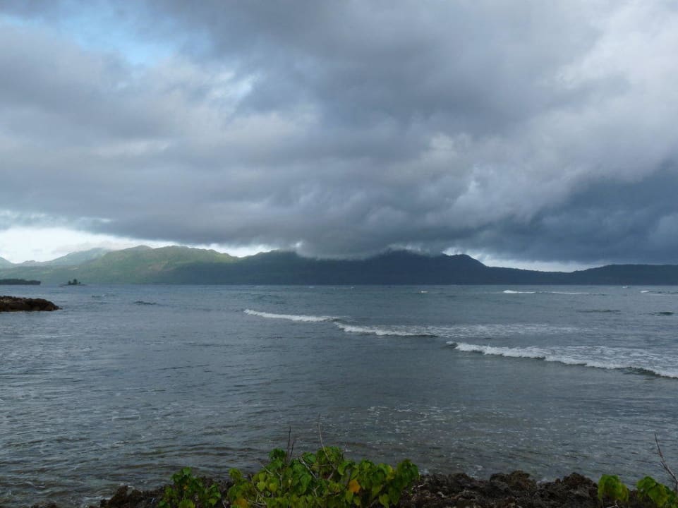 Blick vom angrenzenden Palmenwald Wyndham Alltra Samana