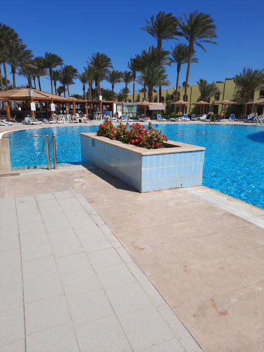 Pool Palm Beach Resort