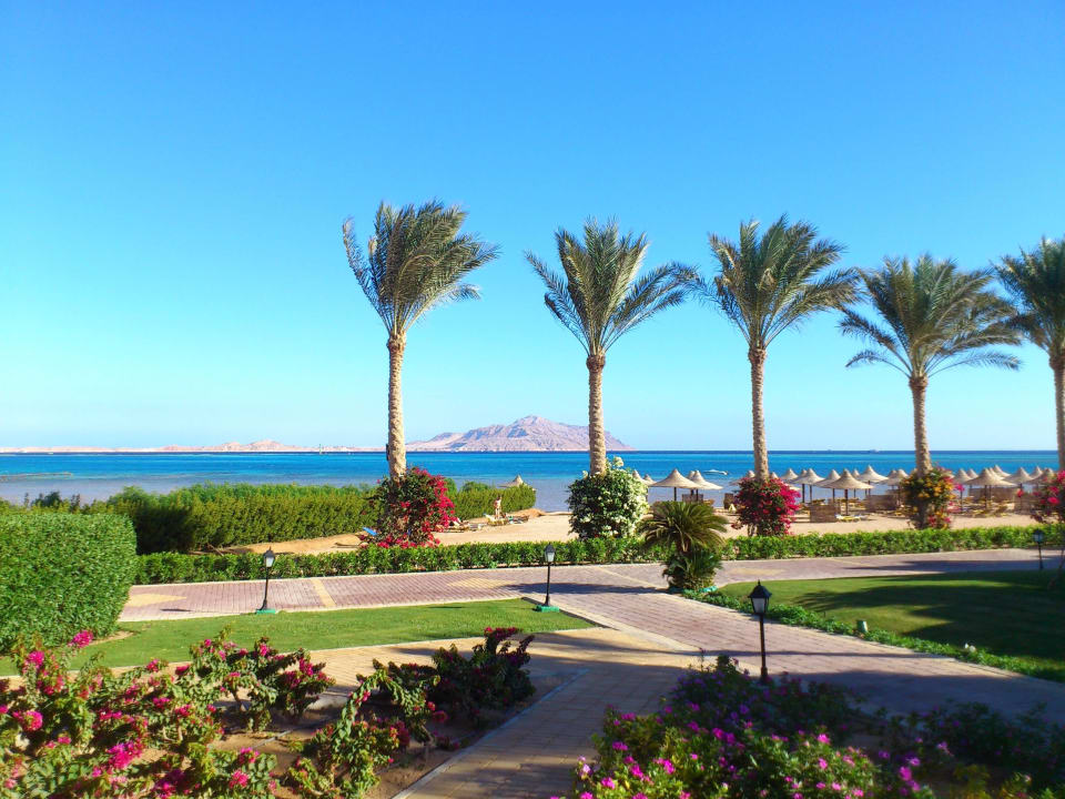 Ausblick von unserer Terrasse direkt auf´s Meer  JAZ Belvedere Resort