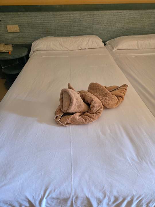 Zimmer SBH Costa Calma Beach Resort