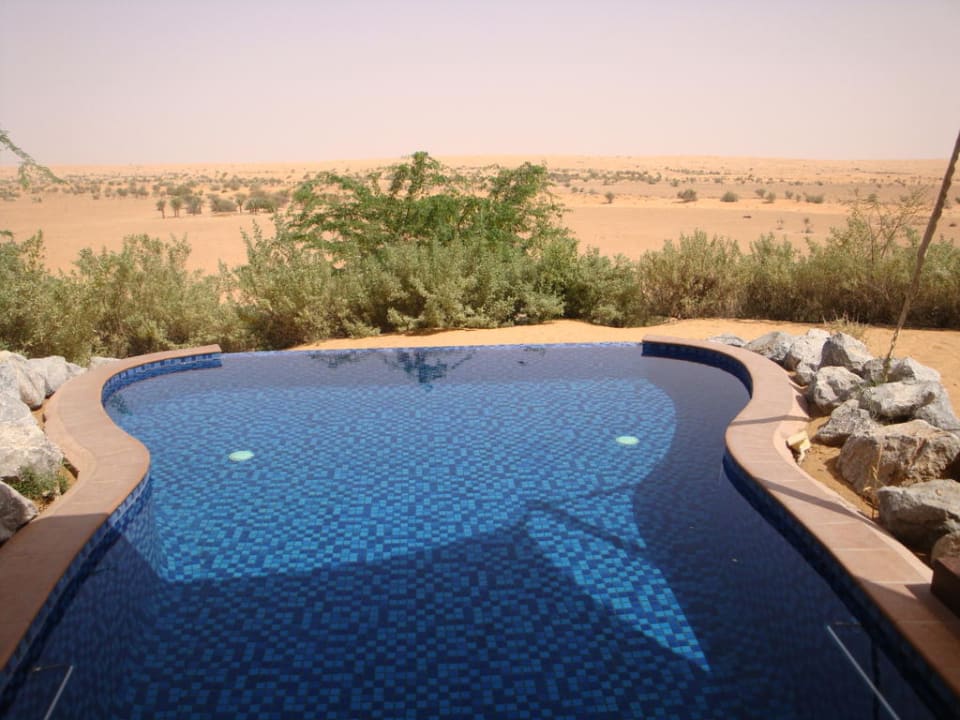 Welch ein Poolblick in die Wüste Al Maha, A Luxury Collection Desert Resort & Spa