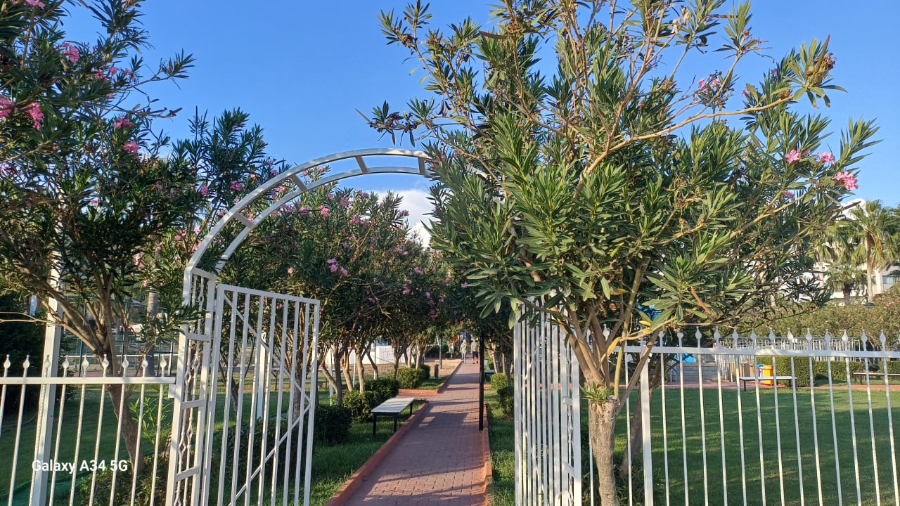 Gartenanlage Seher Kumköy Star Resort & Spa