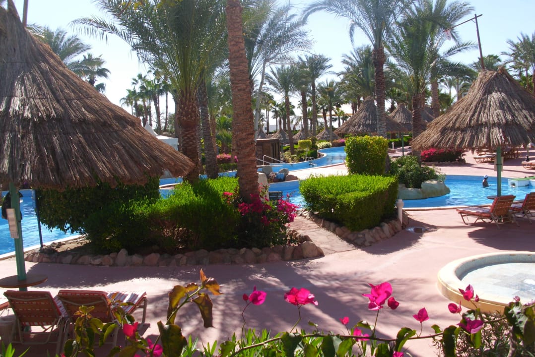 Ohne Worte schön. Pickalbatros Golf Beach Resort