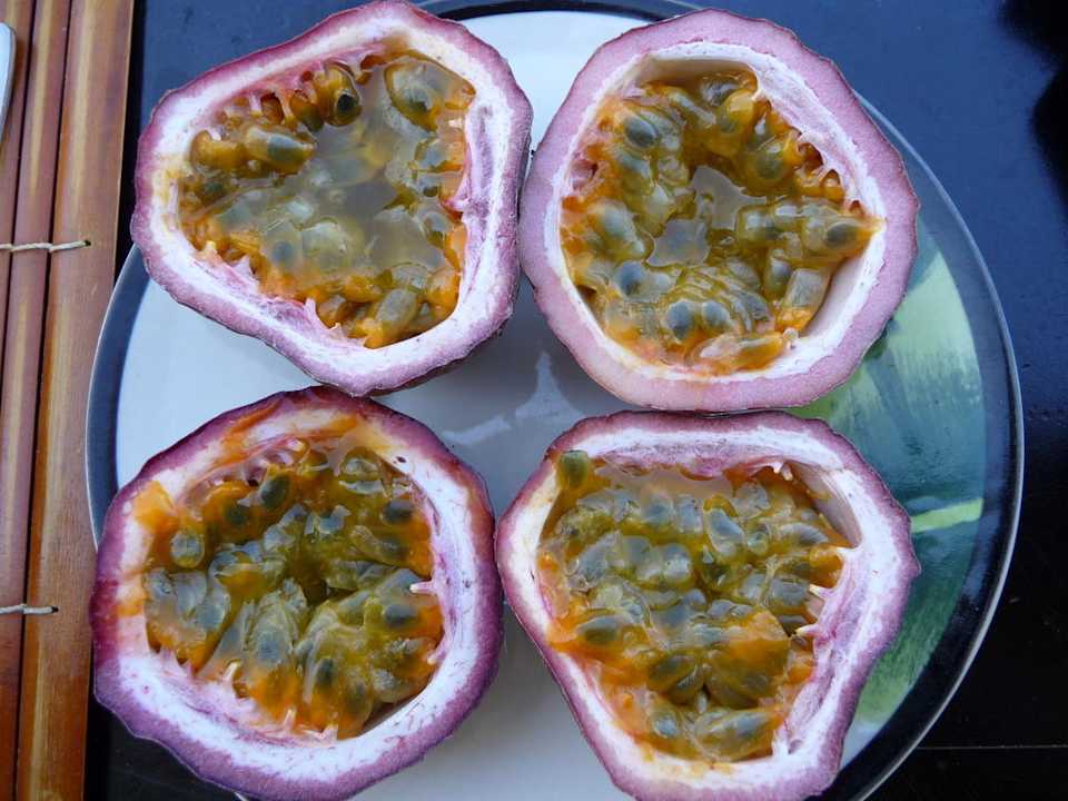 Passion Fruit at it's best! Allezboo Beach Resort & Spa