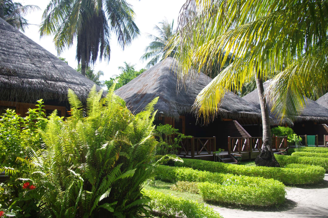 Garten Villa Bandos Maldives