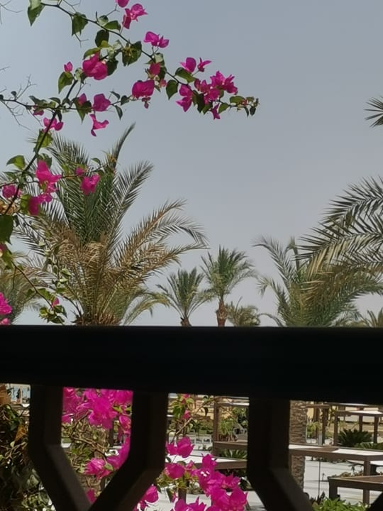 Ausblick Jaz Costa Mares (Adults Only)