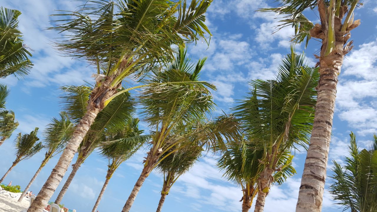 Strand Hotel Riu Dunamar