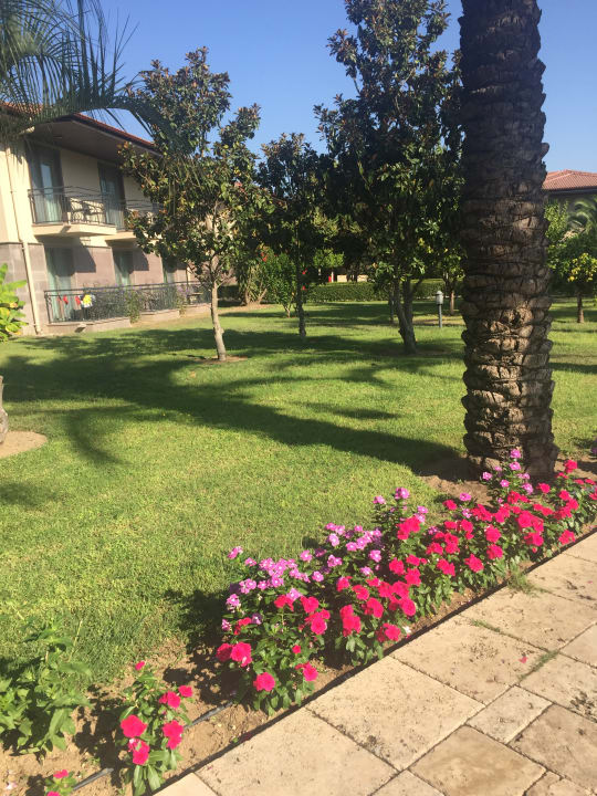 Außenansicht TUI BLUE Palm Garden