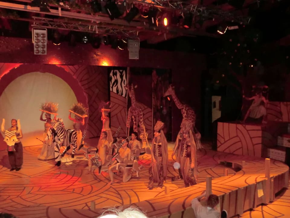 König der Löwen ROBINSON ESQUINZO PLAYA