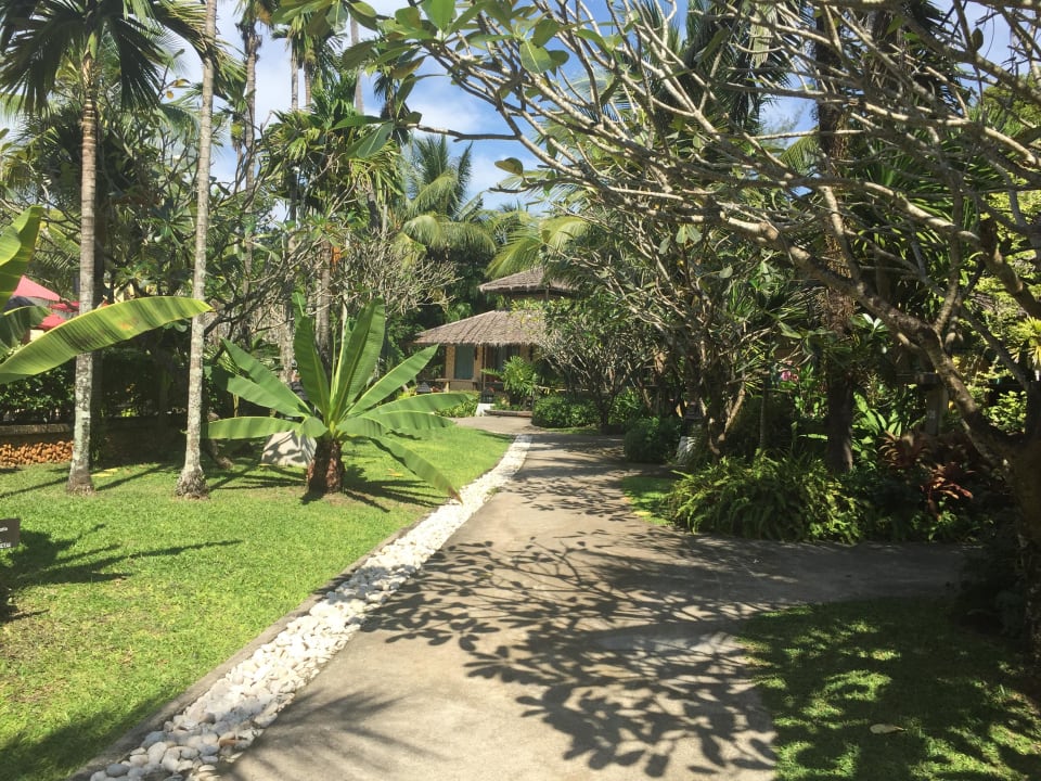Bugalow Centara Koh Chang Tropicana Resort