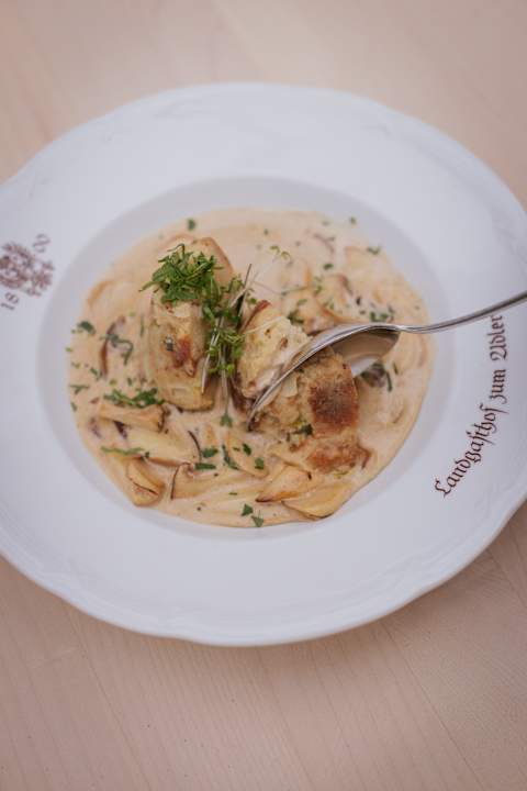 Gastro Hotel & Restaurant Adler - BIO-zertifiziert