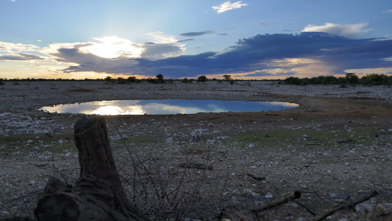 Ausblick Okaukuejo Camp