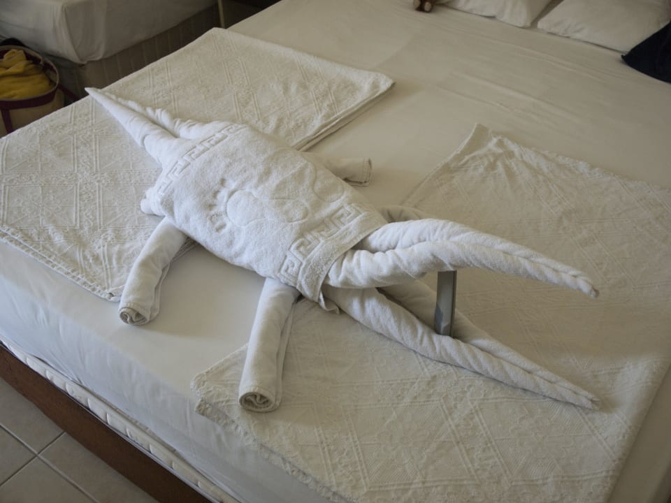 Die "Kunst" der Zimmermädchen Hotel Orfeus Park