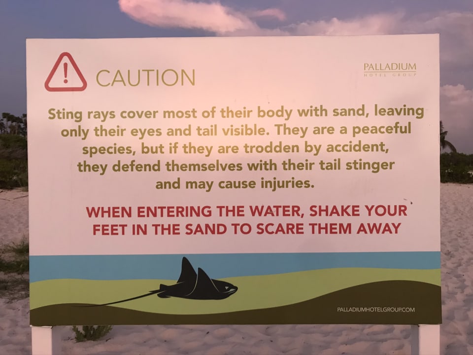 Strand TRS Coral Hotel - Adults Only